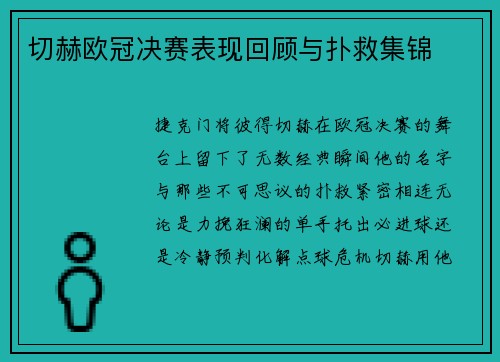 切赫欧冠决赛表现回顾与扑救集锦